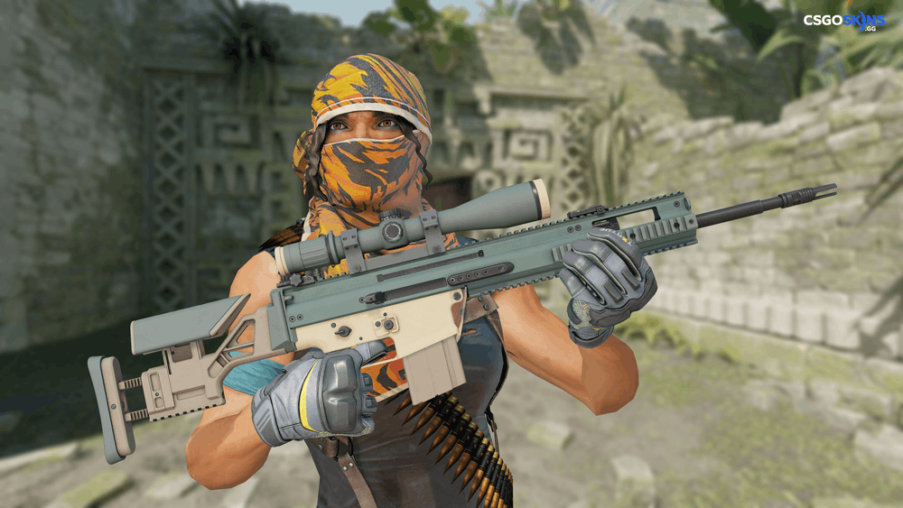 SCAR-20 | Contractor Artwork