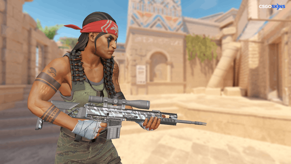 SCAR-20 | Caged Artwork