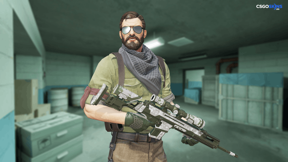 SCAR-20 | Arctic Camo Panels Artwork