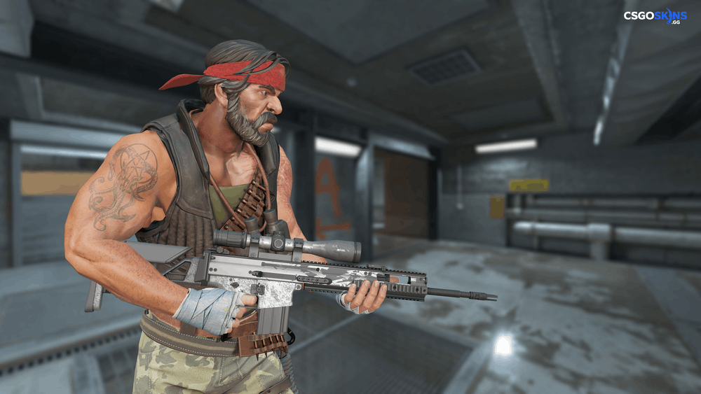 SCAR-20 | Zinc Artwork