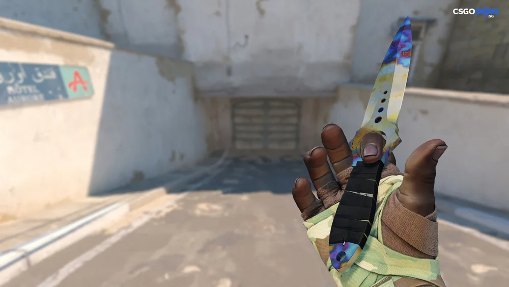 ★ Skeleton Knife | Case Hardened Artwork