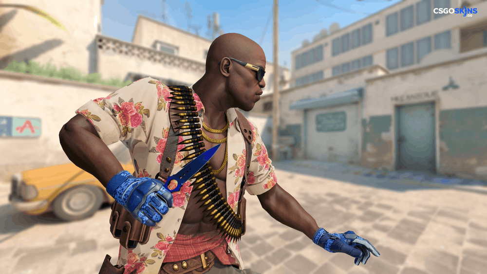 ★ Skeleton Knife | Doppler Phase 3 Artwork