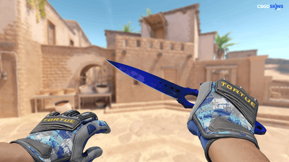 ★ Skeleton Knife | Doppler Phase 4 Artwork