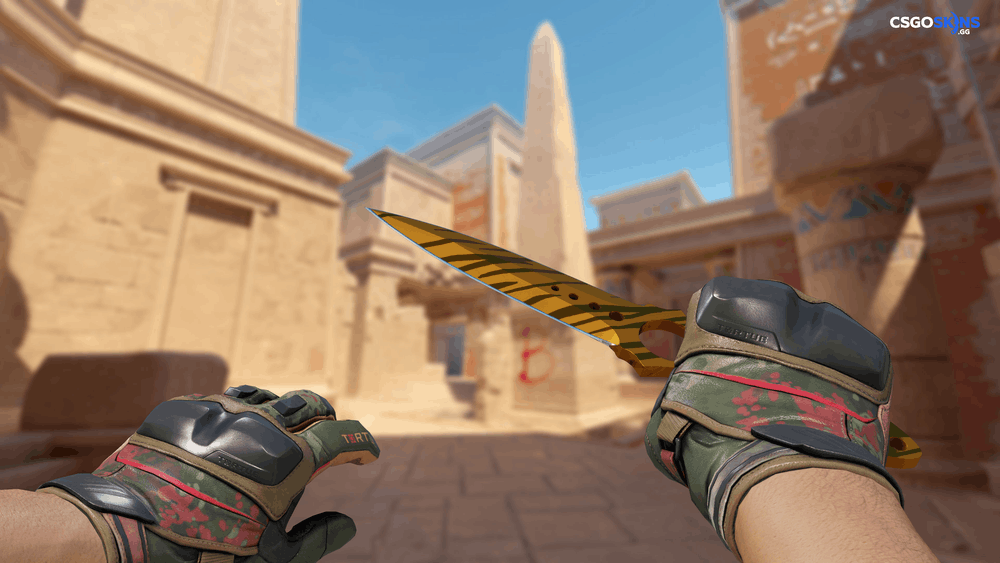 ★ Skeleton Knife | Tiger Tooth Artwork