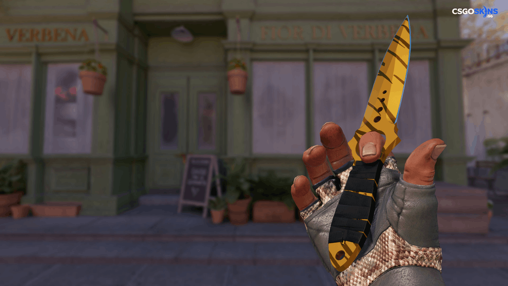 ★ Skeleton Knife | Tiger Tooth Artwork