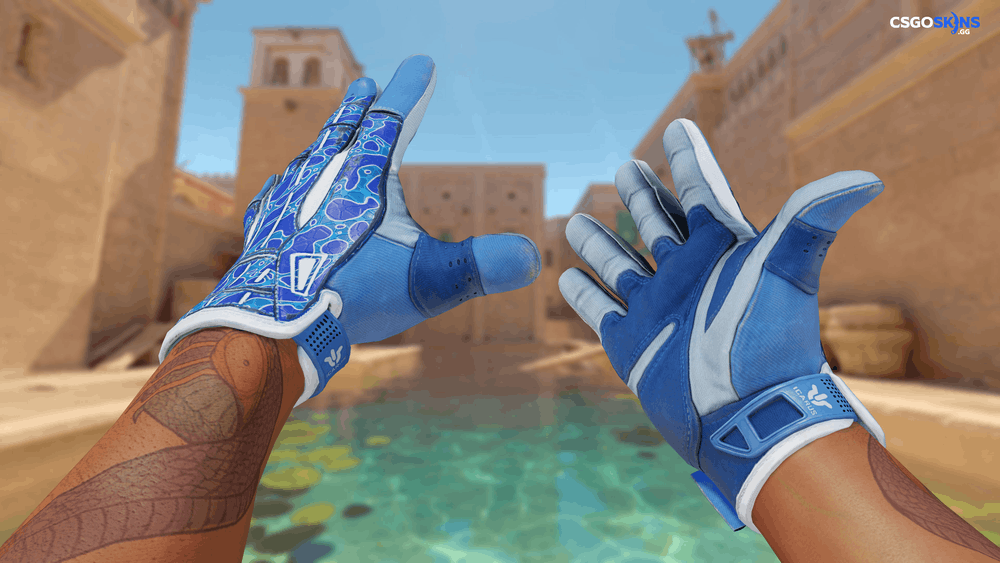 ★ Sport Gloves | Amphibious Artwork