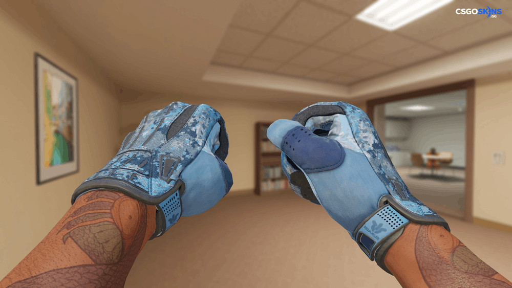 ★ Sport Gloves | Frosty Artwork