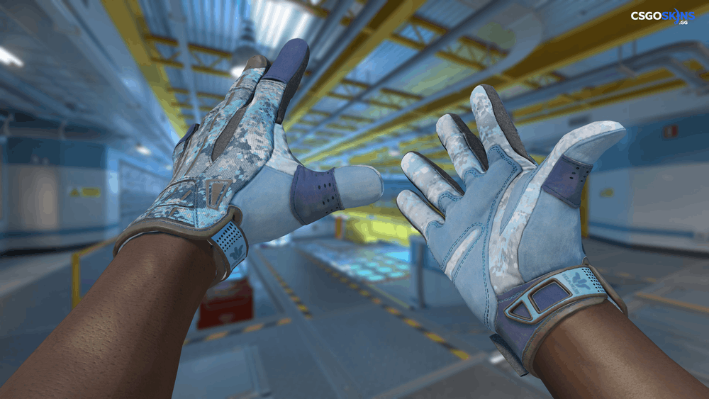 ★ Sport Gloves | Frosty Artwork