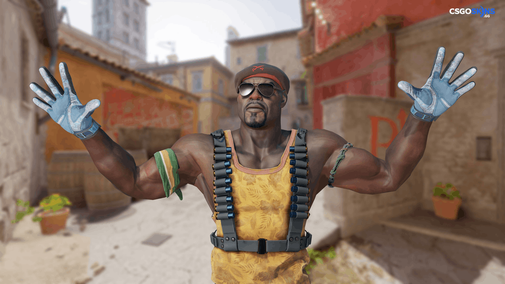 ★ Sport Gloves | Frosty Artwork