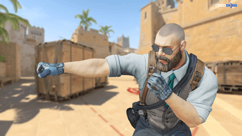 ★ Sport Gloves | Frosty Artwork