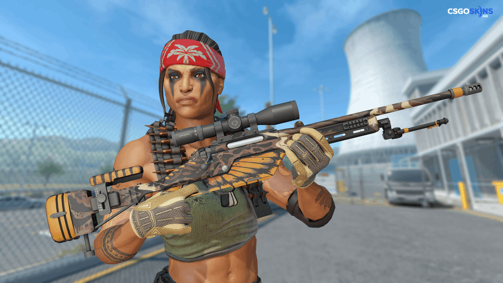 SSG 08 | Death's Head Artwork