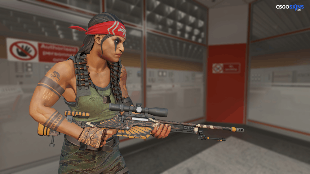 SSG 08 | Death's Head Artwork