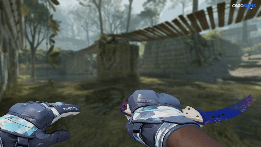 ★ Talon Knife | Doppler Phase 1 Artwork