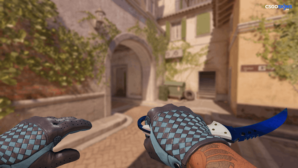 ★ Talon Knife | Doppler Phase 3 Artwork