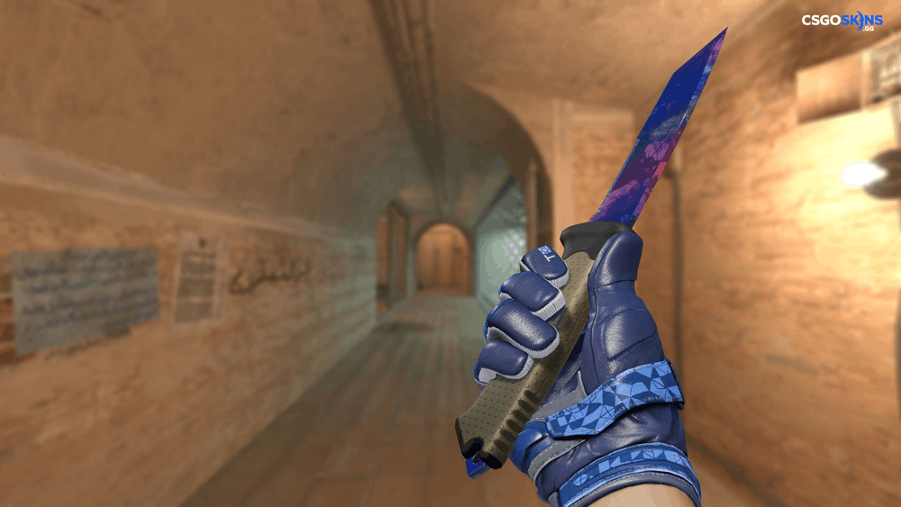 ★ Ursus Knife | Doppler Phase 1 Artwork