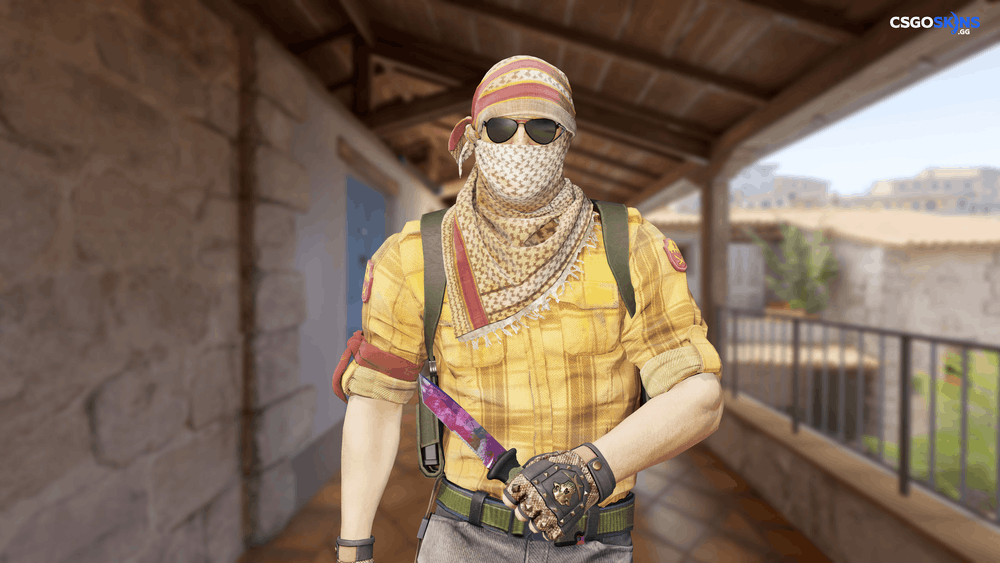 ★ Ursus Knife | Doppler Phase 2 Artwork