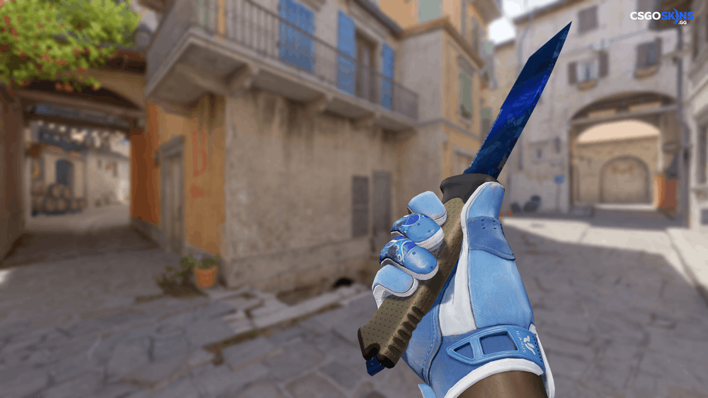 ★ Ursus Knife | Doppler Phase 3 Artwork