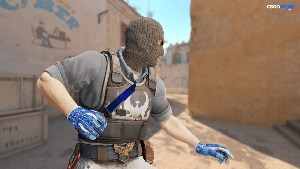 ★ Ursus Knife | Doppler Phase 3 Artwork