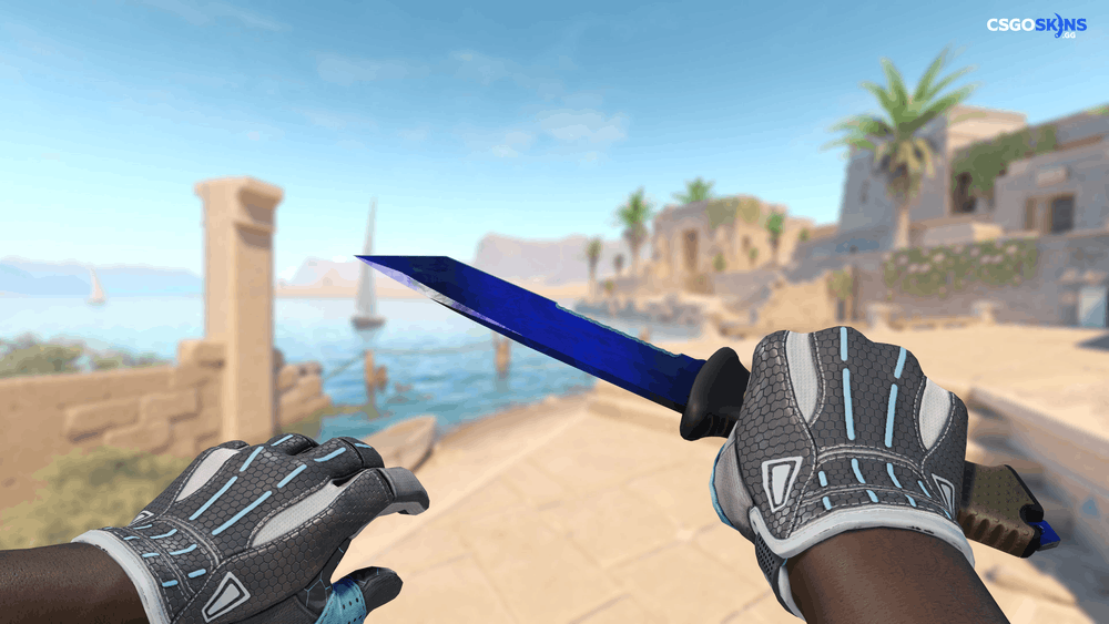 ★ Ursus Knife | Doppler Phase 4 Artwork