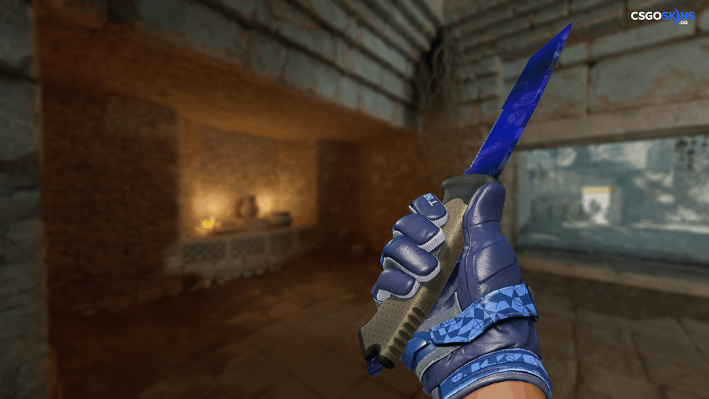 ★ Ursus Knife | Doppler Phase 4 Artwork