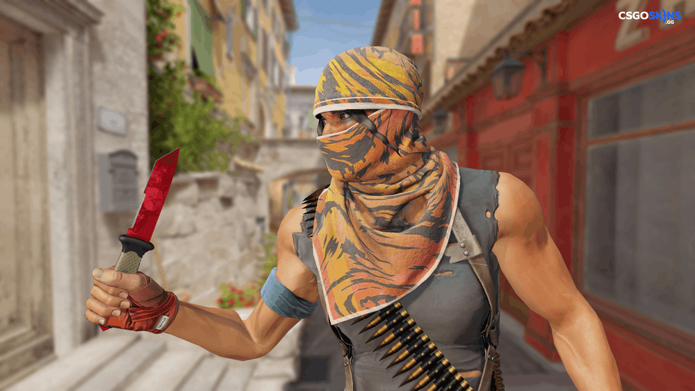 ★ Ursus Knife | Doppler Ruby Artwork