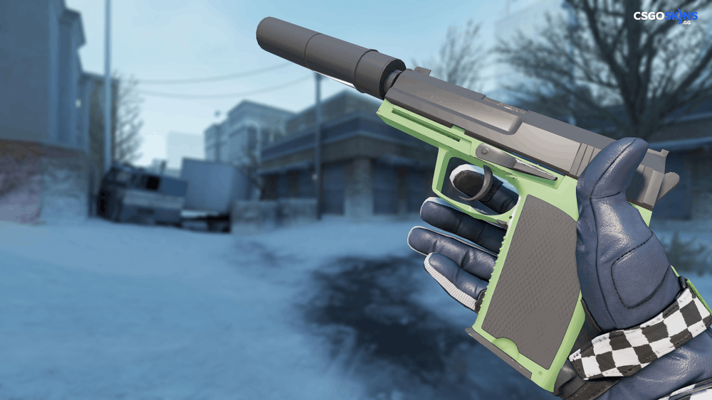 USP-S | Para Green Artwork