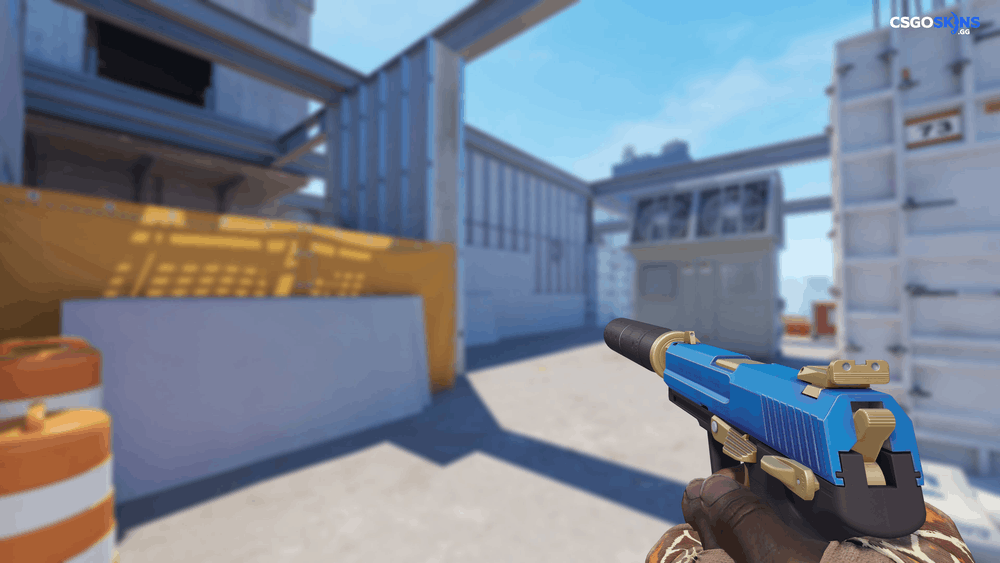 USP-S | Royal Guard Artwork