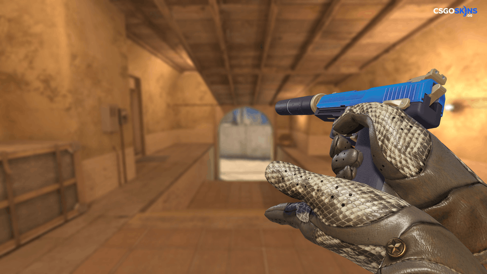 USP-S | Royal Guard Artwork