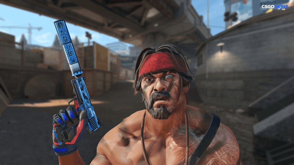 USP-S | Silent Shot Artwork