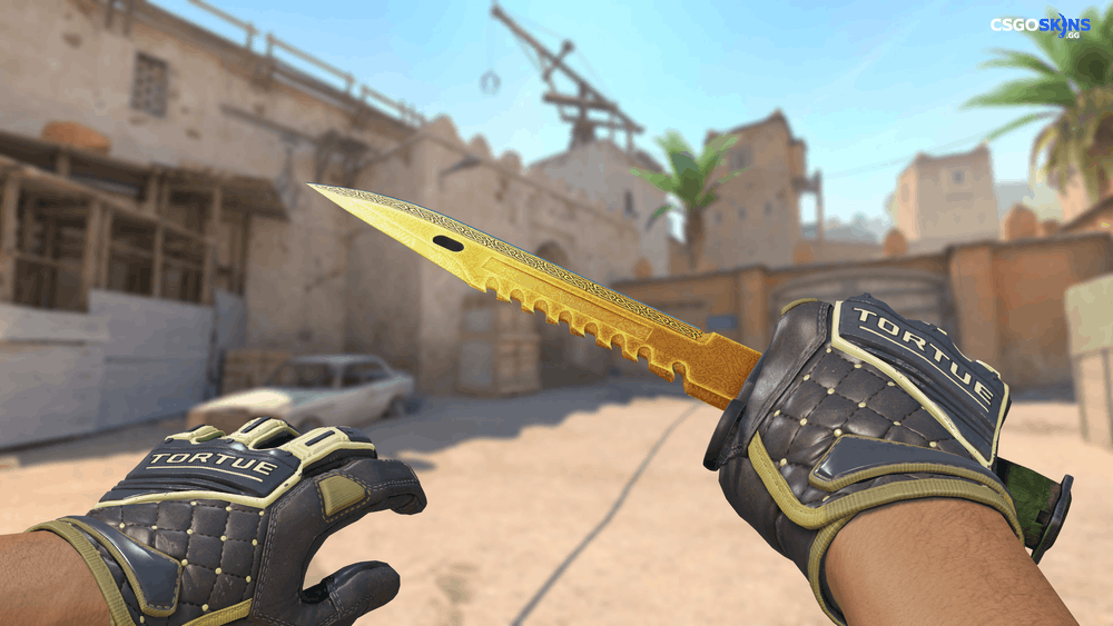 ★ M9 Bayonet | Lore Artwork