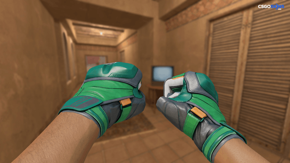 ★ Moto Gloves | Turtle Artwork