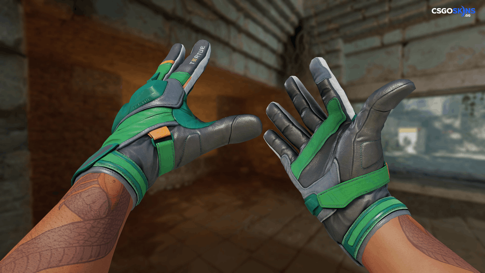★ Moto Gloves | Turtle Artwork