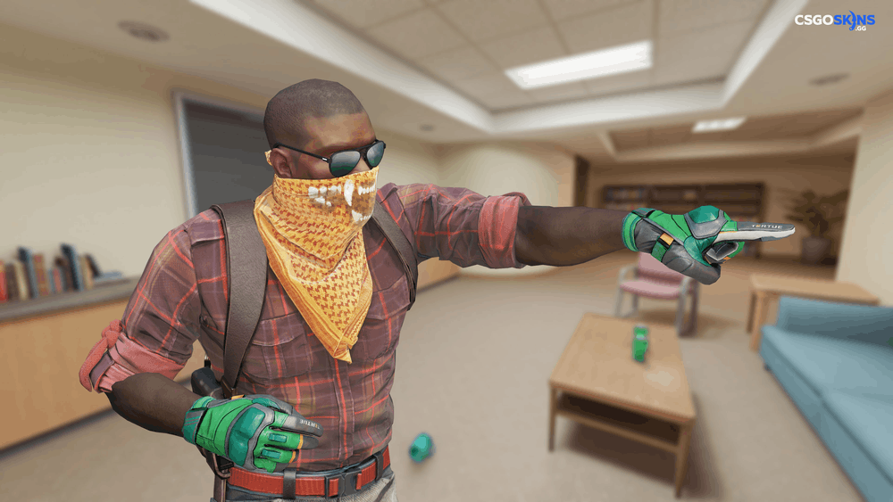 ★ Moto Gloves | Turtle Artwork