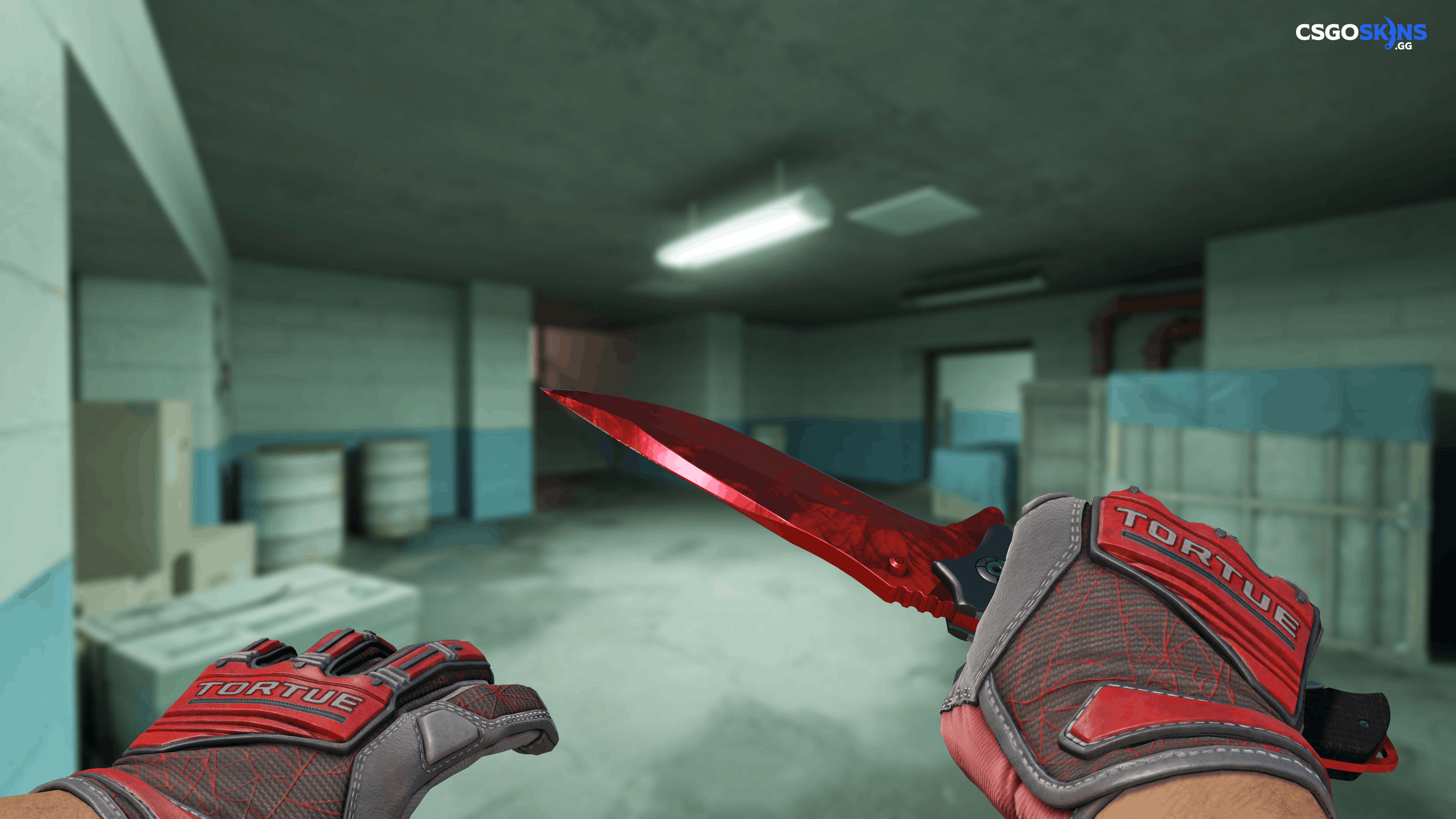 ★ Nomad Knife | Doppler Ruby Artwork