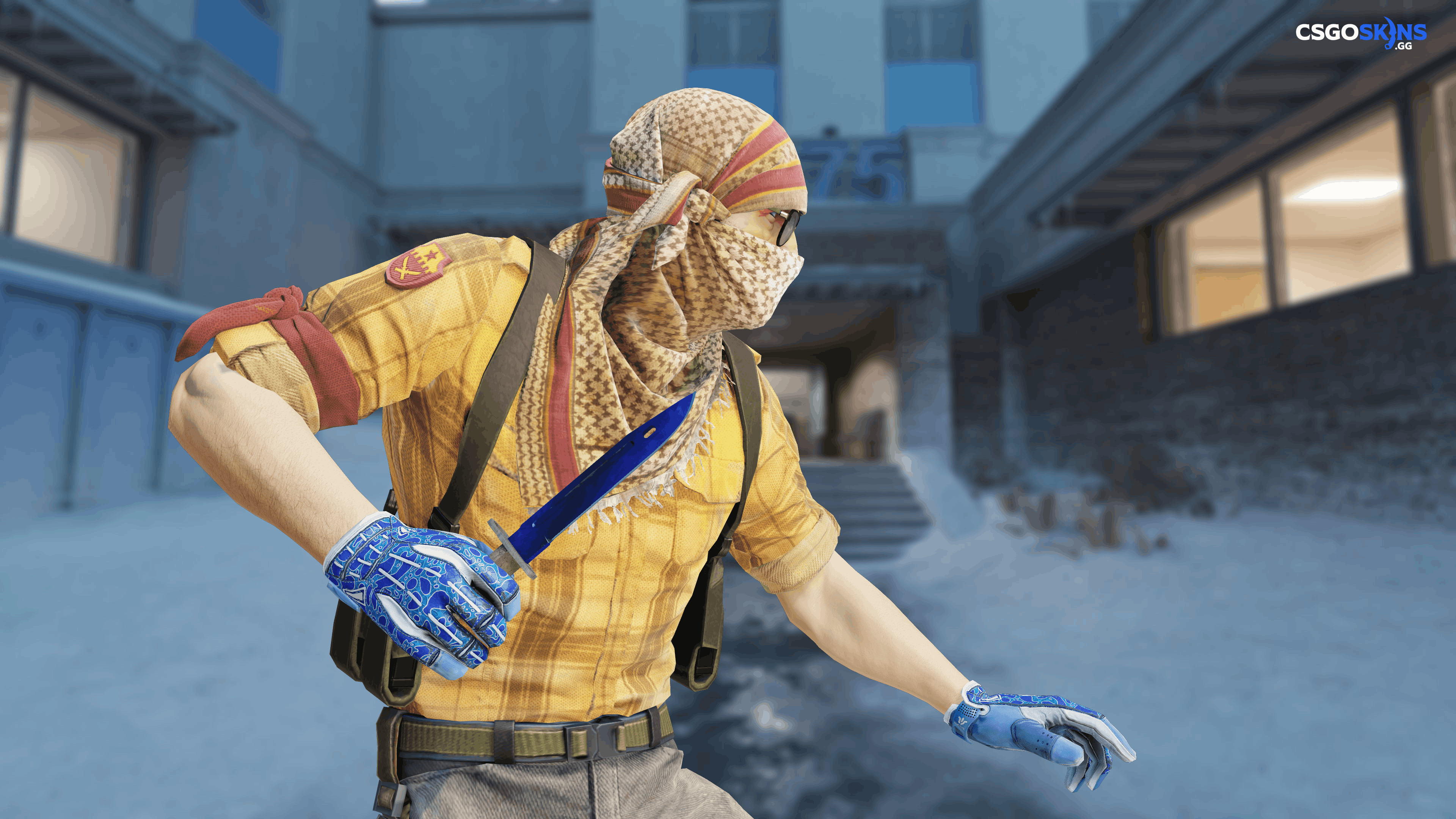 ★ Bayonet | Doppler Phase 4 Artwork