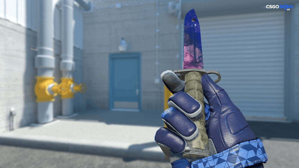 ★ Bayonet | Doppler Phase 1 Artwork