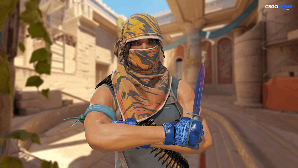 ★ Bayonet | Doppler Phase 1 Artwork