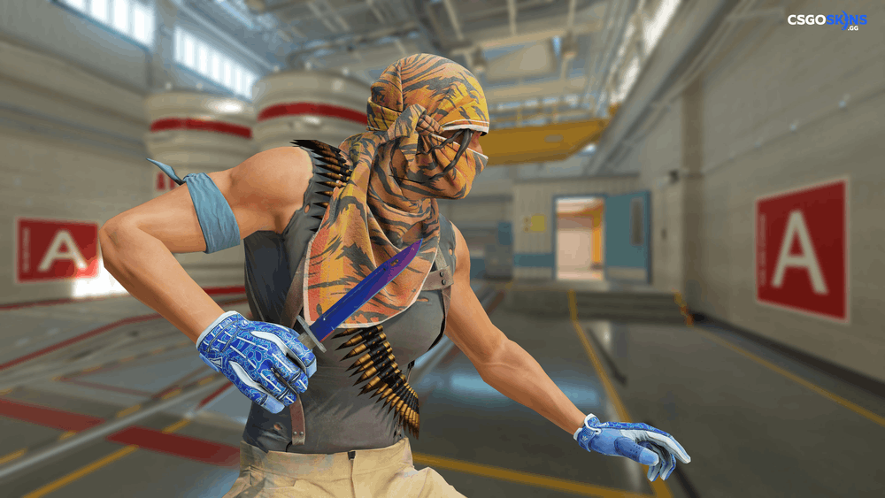 ★ Bayonet | Doppler Phase 1 Artwork