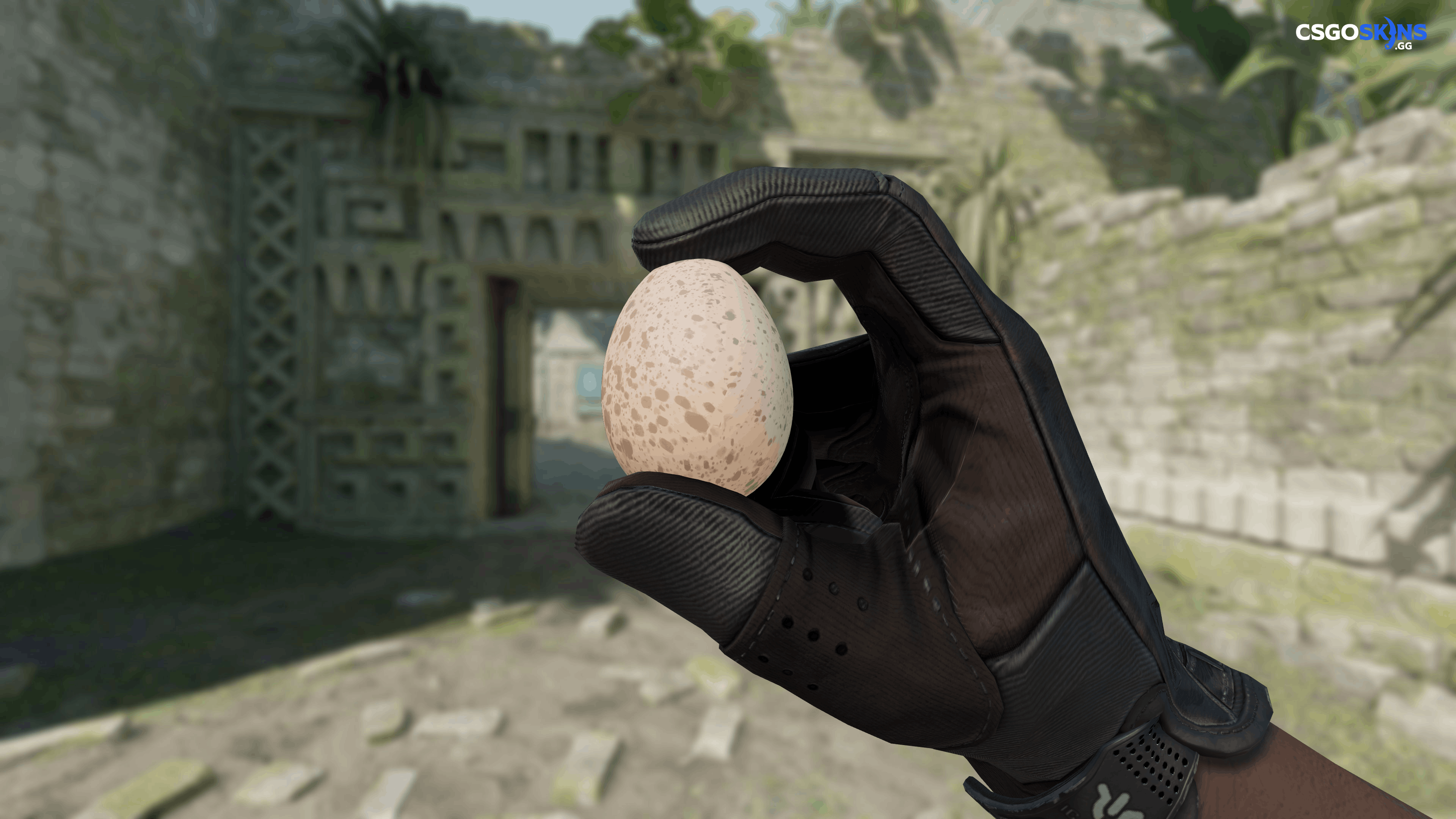 Chicken Egg Artwork