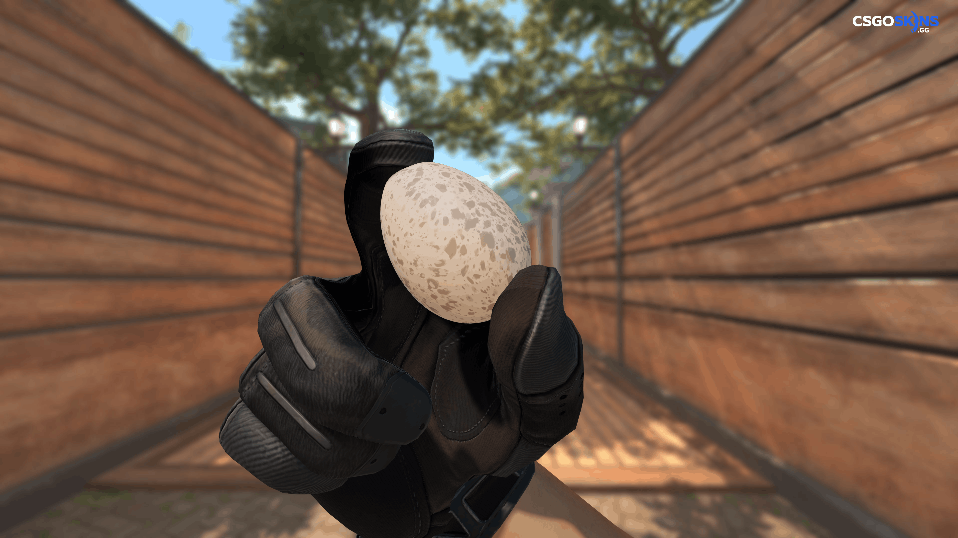 Chicken Egg Artwork