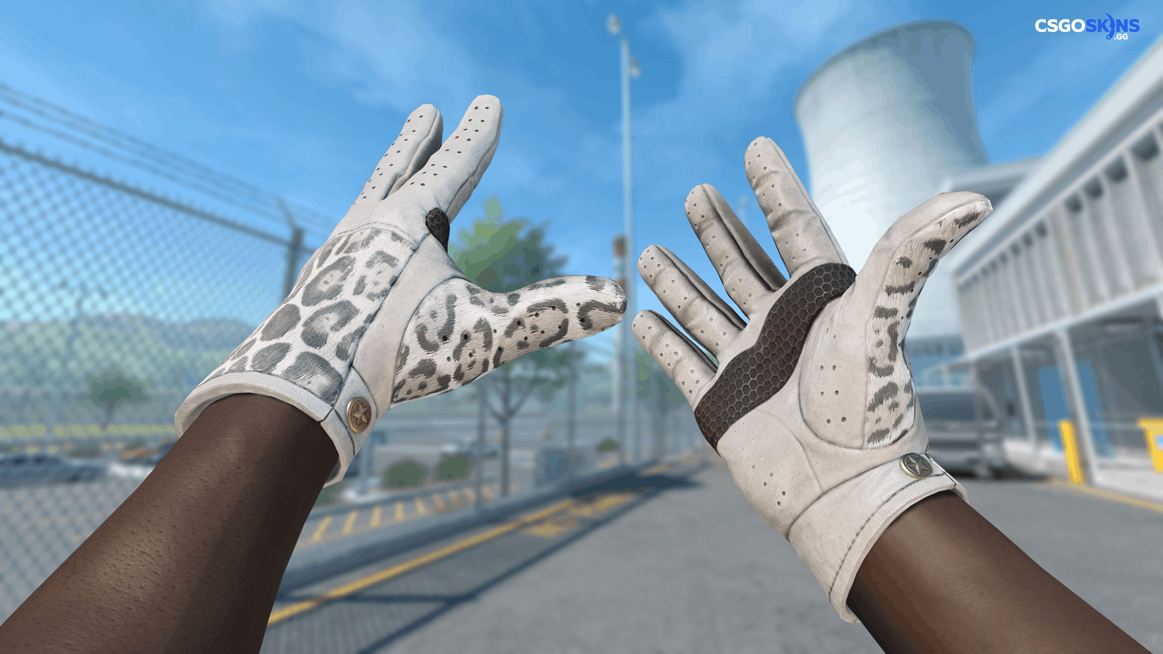 ★ Driver Gloves | Snow Leopard Artwork