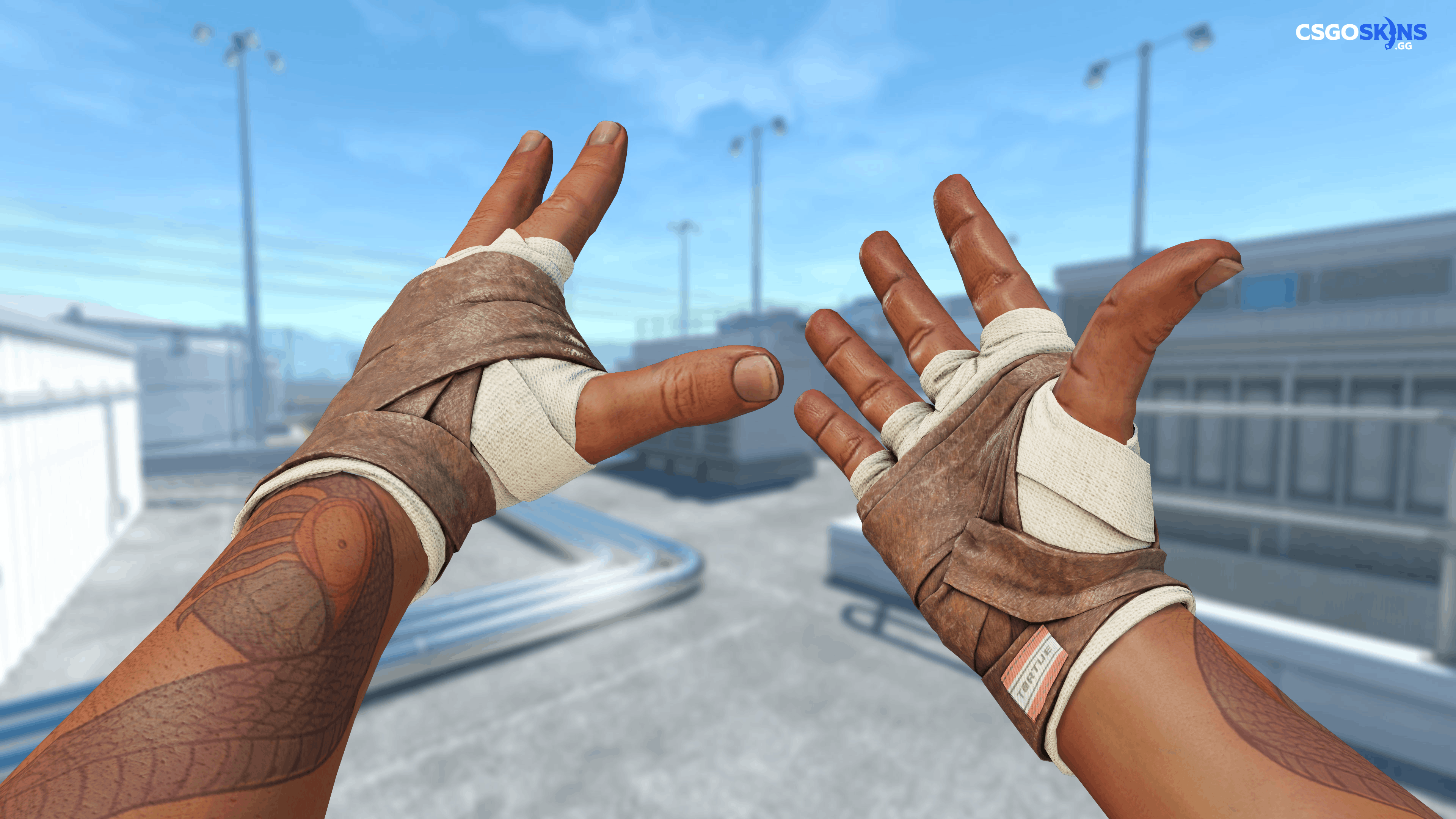 ★ Hand Wraps | Leather Artwork