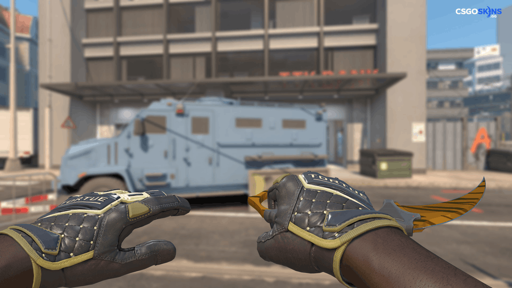 ★ Karambit | Tiger Tooth Artwork