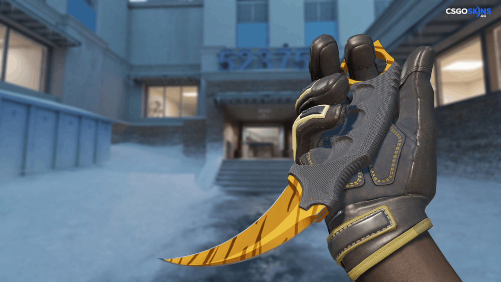 ★ Karambit | Tiger Tooth Artwork