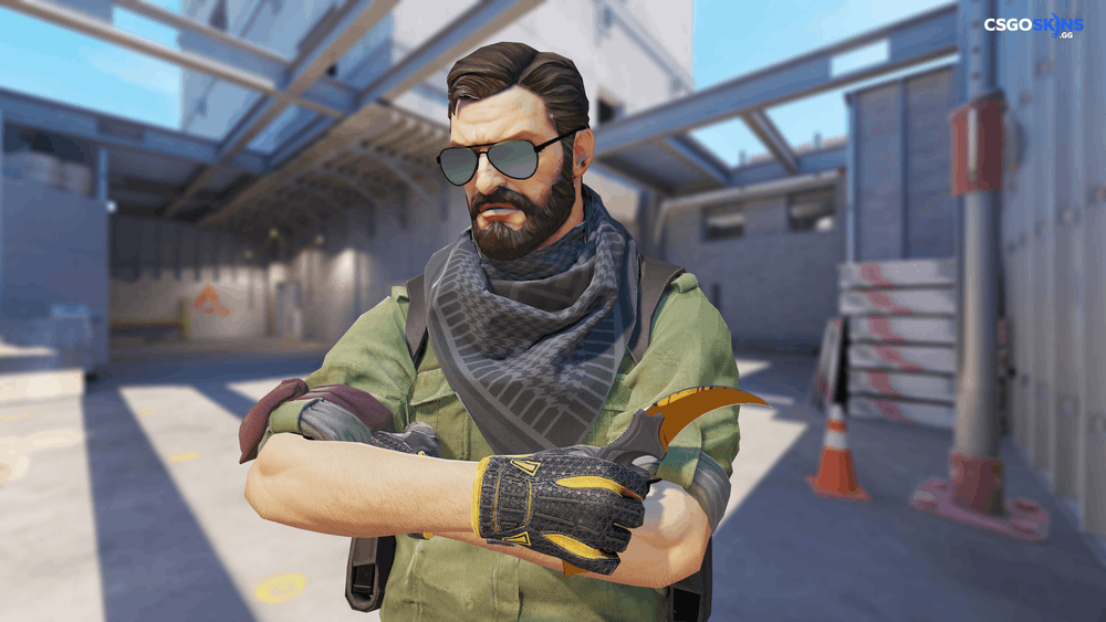 ★ Karambit | Tiger Tooth Artwork