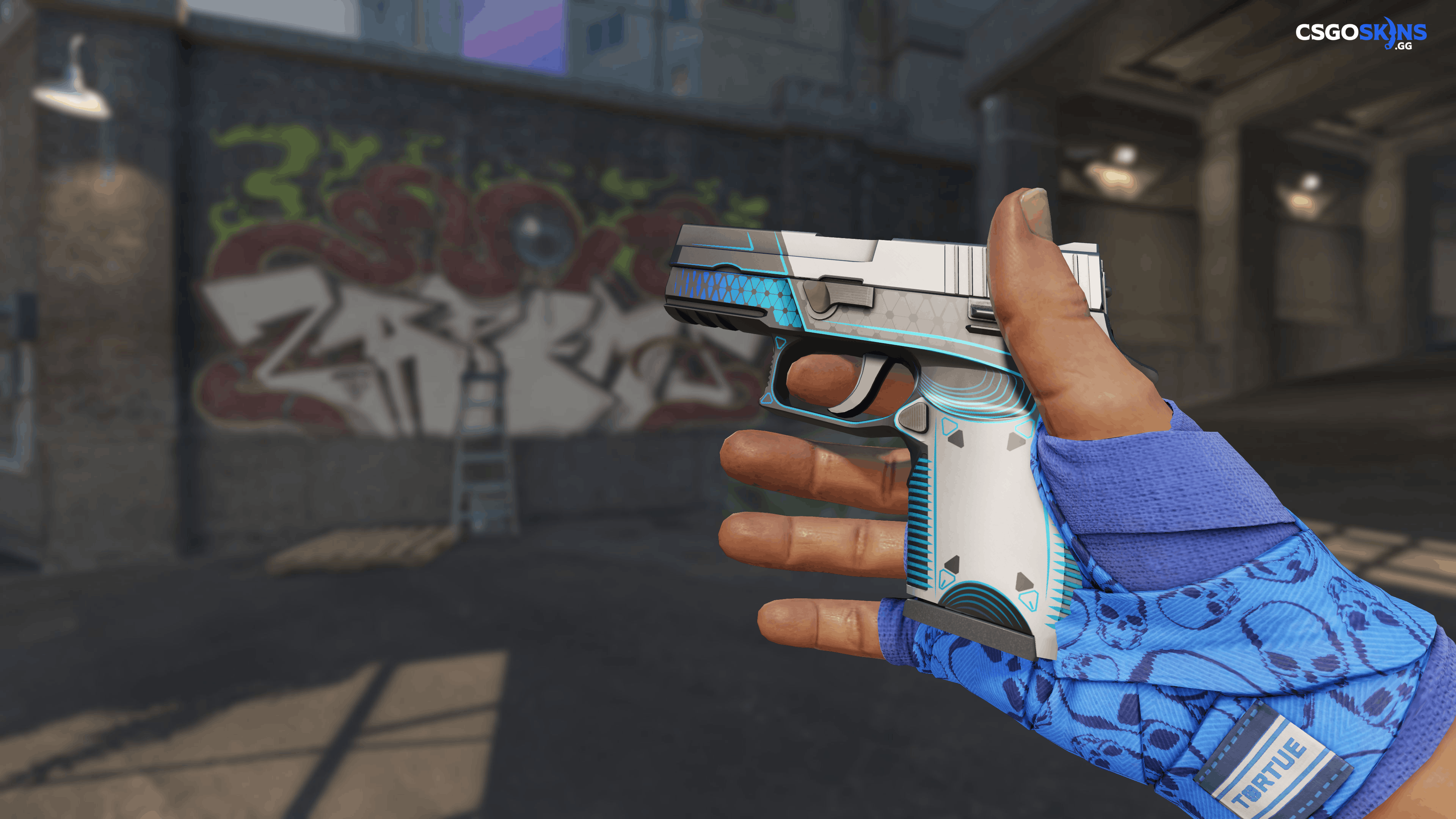 P250 | Valence Artwork