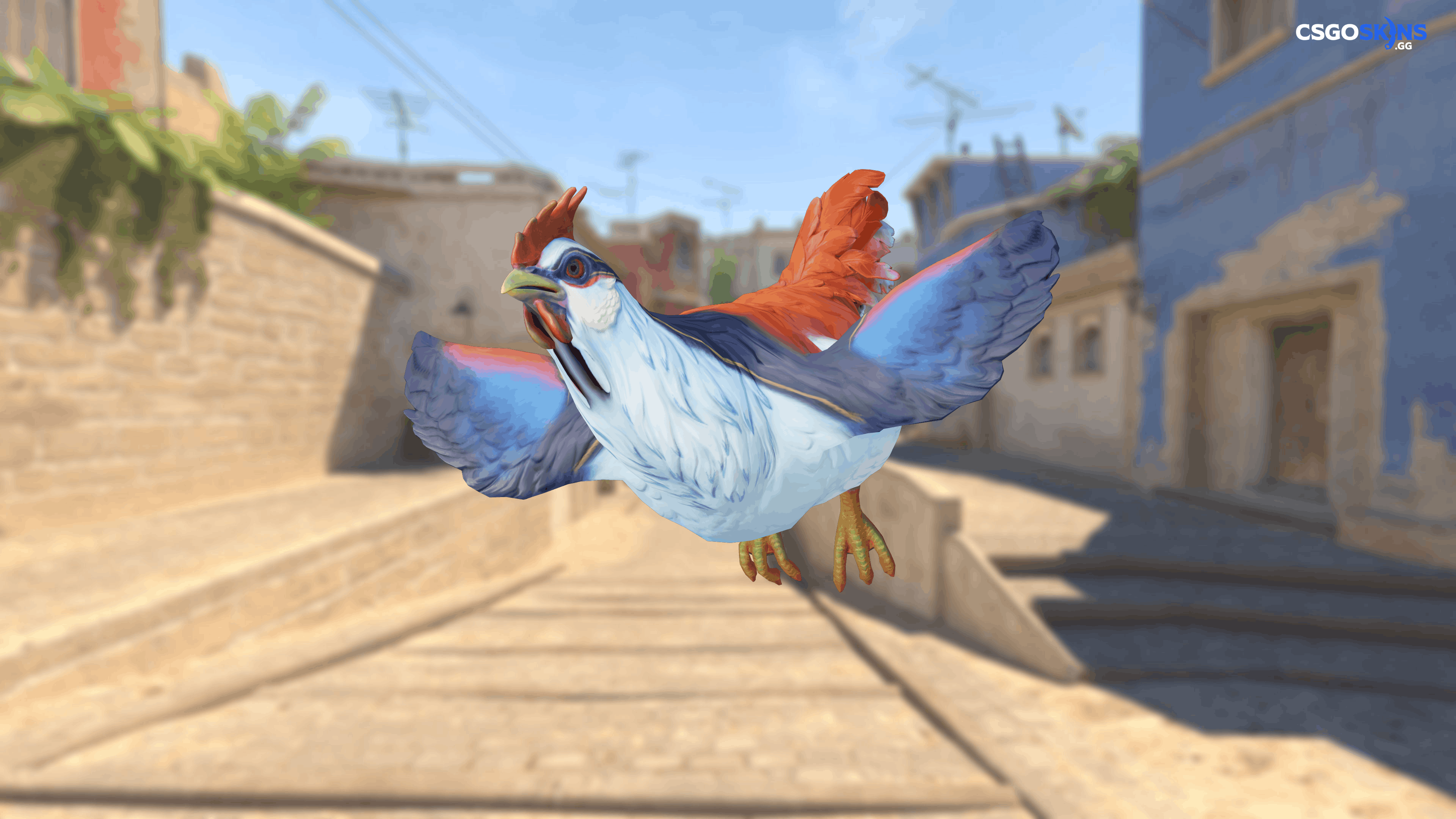 Pet Chicken | Catalana (Light Blue And Red) Artwork