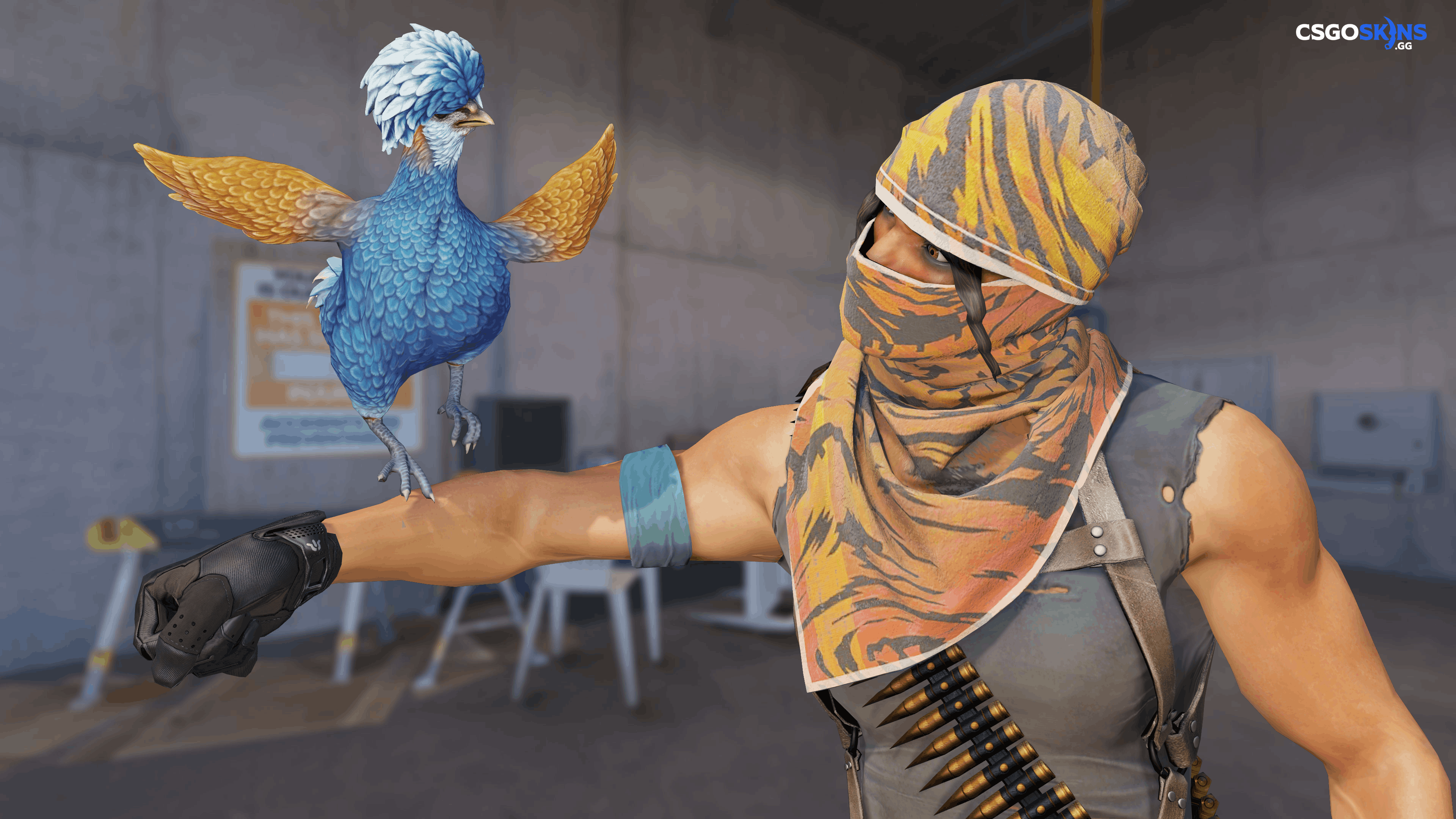 Pet Chicken | Polish (Blue) Artwork