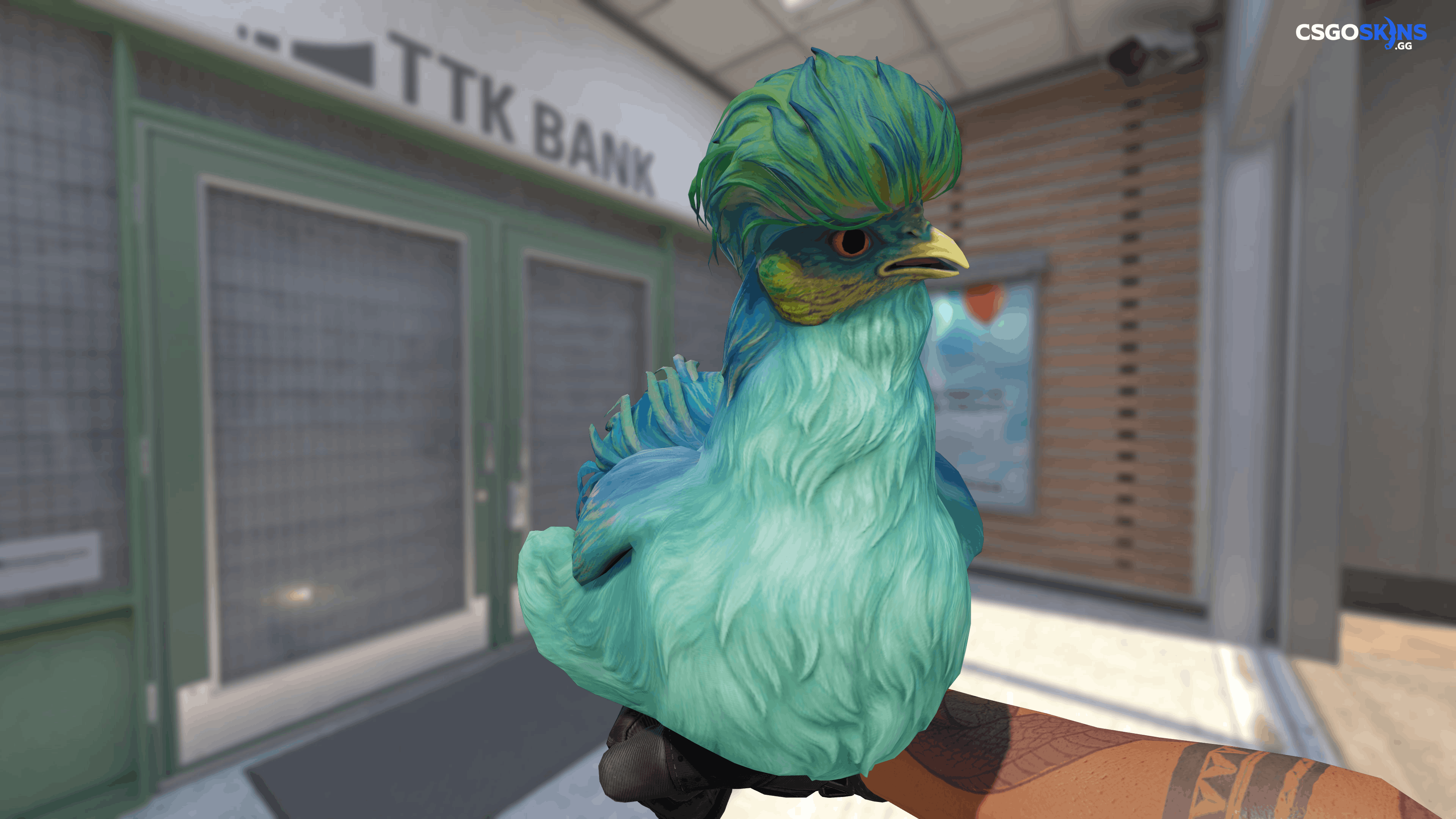 Pet Chicken | Silkie (Aqua With Yellow) Artwork