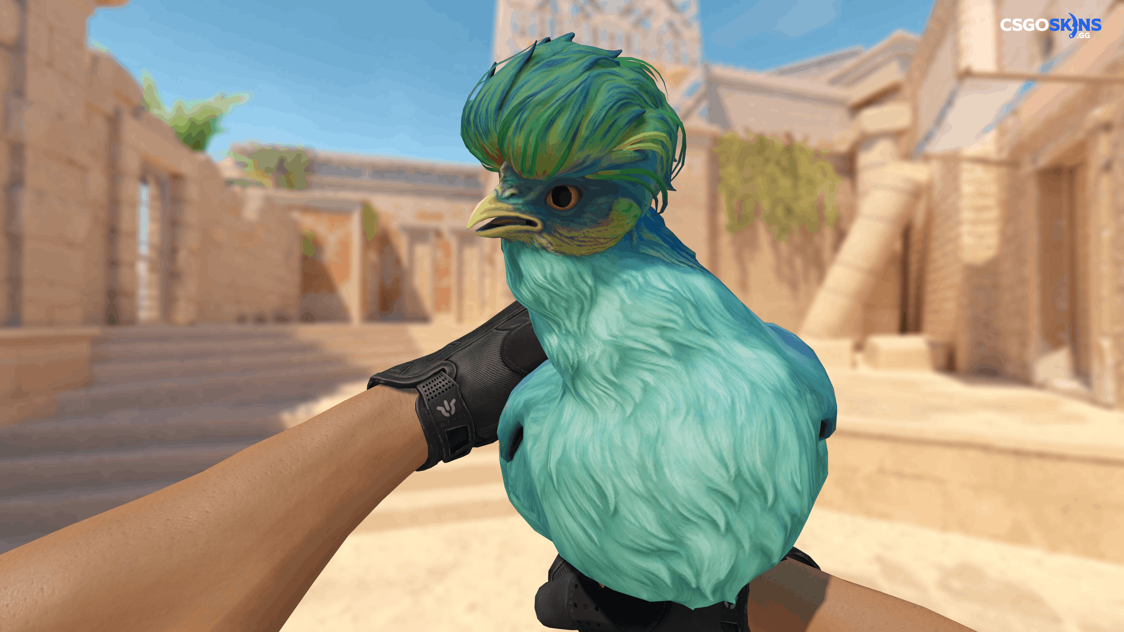 Pet Chicken | Silkie (Aqua With Yellow) Artwork